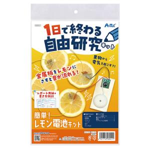 ARTEC 1日で終わる自由研究キット 簡単!レ...の商品画像