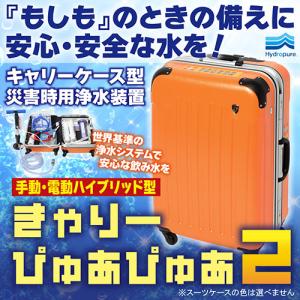エイアイティ きゃりーぴゅあぴゅあ2 キャリー...の詳細画像1