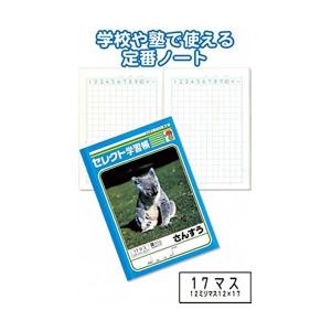 学習帳K-2さんすう17マス 〔10個セット〕 31-373｜rinkobe