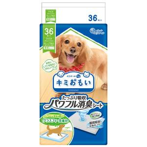 大王製紙 キミおもい パワフル消臭シート ワイド 36枚 (犬用/衛生用品)｜rinkobe