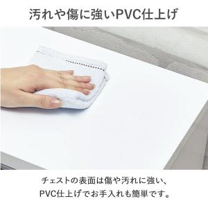 薄型 ランドリー収納庫 幅30cm ロータイプ...の詳細画像3