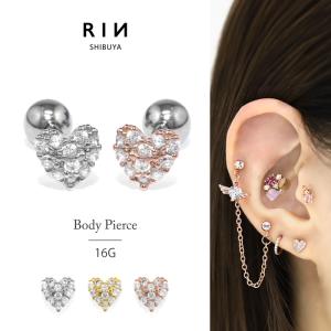 ボディピアス 16G レッド ポイズンデザイン ブラックスパイダー