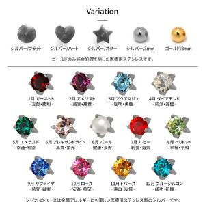 ピアッサー 耳たぶ用 16G 2個 両耳 金属...の詳細画像5