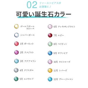 ピアッサー 18G 金属アレルギー対応 耳たぶ...の詳細画像4