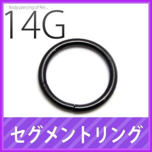 軟骨ピアス 14G セグメントリング「BP」「NAN」 かわいい