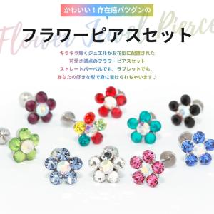 ボディピアス 14G 16G 18G トラガス...の詳細画像1
