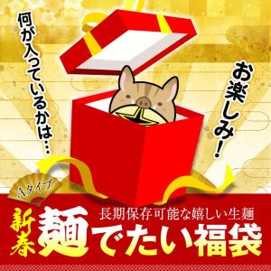 【2019年林泉堂の初売り福袋A】新春☆麺（めん）でたい福袋／Aタイプ！何が入っているかは……お楽しみ☆林泉堂の定番人気商品をた〜っぷり１４食！