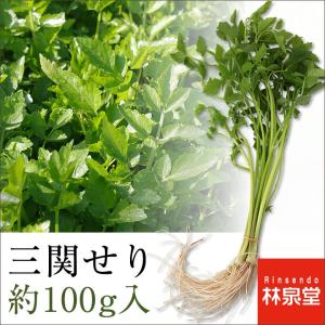 三関セリ（約100g／約50g×２束） ※冷蔵配送のきりたんぽ鍋を同時購入の方限定