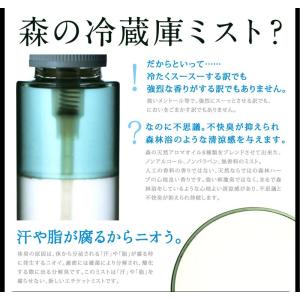 頭皮臭、ワキ臭体臭対策スプレー 森の爽風ミスト...の詳細画像3