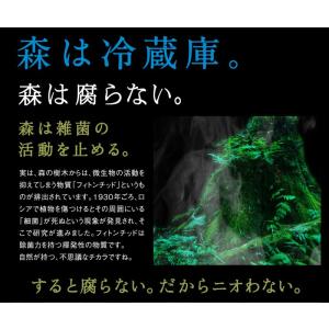 頭皮臭、ワキ臭体臭対策スプレー 森の爽風ミスト...の詳細画像5