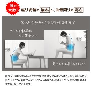 湯たんぽ クッション 仙骨 骨盤クッション あ...の詳細画像3
