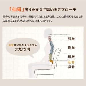 湯たんぽ クッション 仙骨 骨盤クッション あ...の詳細画像4