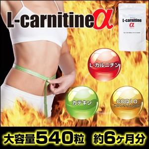 L-カルニチン、カテキン、CoQ10配合サプリ L-カルニチンα アルファ｜rinshop