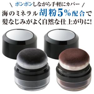 ボリュームアップヘアーファンデーション薄毛増毛ふりかけパウダー