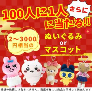 《7000円以上》シール.ぬいぐるみが当たる ...の詳細画像2