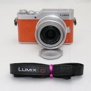 Panasonic LUMIX DC-GF9 12-32mm レンズキット｜rinsmile