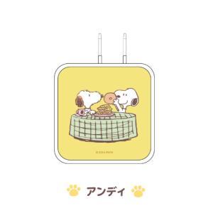 送料無料 ピーナッツ USB/USB Type...の詳細画像1