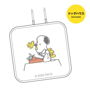 送料無料 ピーナッツ USB Type-C A...の詳細画像1