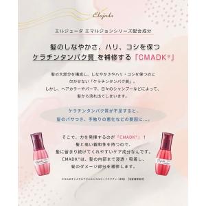ミルボン エルジューダ ヘアミルク エマルジョ...の詳細画像2