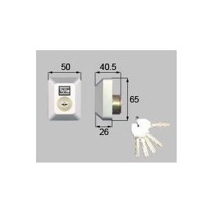 LIXIL：D5GZ1906：トステム　玄関ドア用シリセット１ロック　グレー色　上