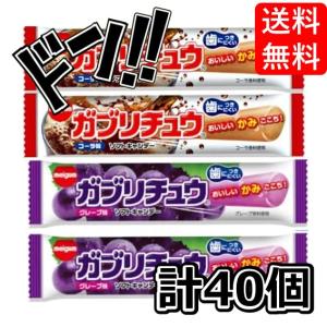 ロッテ（LOTTE） フリーゾーンガム すっきりミント 15入 (歯につき