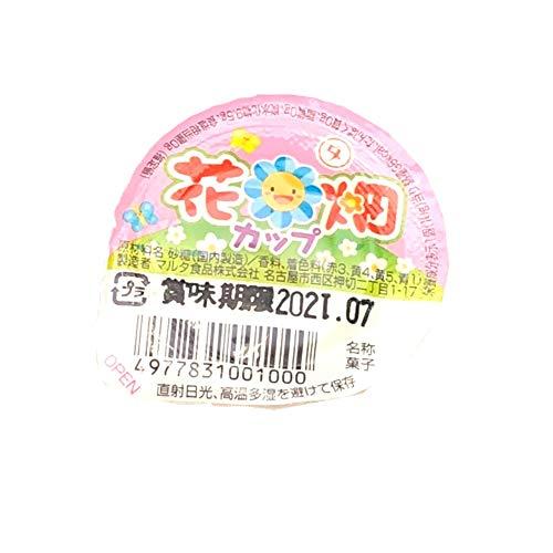 花畑カップ 10ｇ×40袋 マルタ食品 ビビットカラーのプチカップ金平糖 駄菓子 お菓子 懐かしい ...