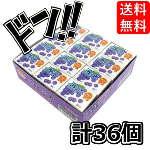 キシリトールガム 7種アソートボトル ( 133g×6セット ) : 爽快ドラッグ