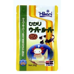 ヒカリ (Hikari) ペット用 ウーパールーパー用 30グラム (x 1)｜株式会社Riogrande Yahoo!店