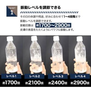 【TV「ほんでなんぼ」で紹介されました】 RI...の詳細画像3