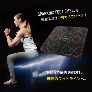 足裏EMSマットスパークニック フット EMS...の詳細画像2