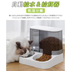 超大容量 自動給餌&給水器 一体型 自動餌やり...の詳細画像2