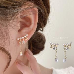 CELINE セリーヌ ピアス 46R076BRE.38NG レディース 片耳販売