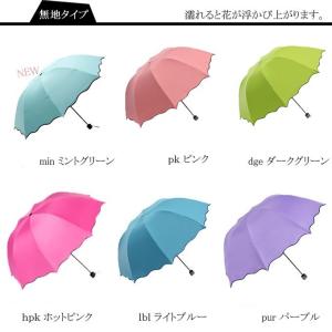 爆買WEEK UVカット傘 日傘 梅雨対策 傘...の詳細画像4