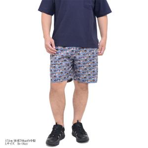 ジムマスター gym master ショートパ...の詳細画像4
