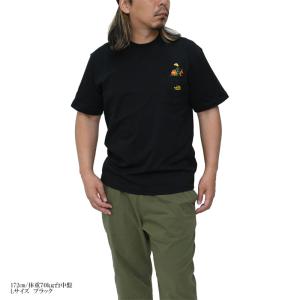 ザ・ノース・フェイス THE NORTH FA...の詳細画像3