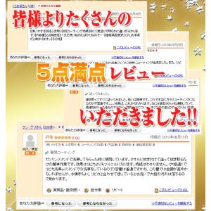 ガラスコーティング剤 最強 業務用 コーティン...の詳細画像5