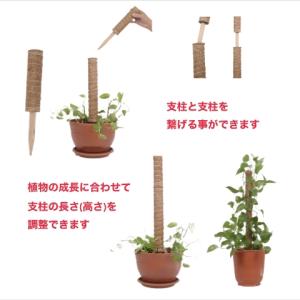 植物支柱 園芸支柱 ココナッツ支柱 A級品 3...の詳細画像2