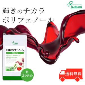 七種ポリフェノール 約3か月分 C-140 (90カプセル) サプリメント 健康