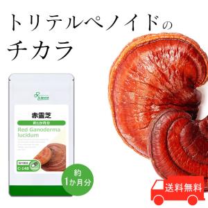 赤霊芝 約1か月分 C-148 (90カプセル) サプリメント 健康