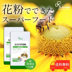 ミツバチ花粉(ビーポーレン) 約3か月分×2袋 C-118-2 サプリメント 健康