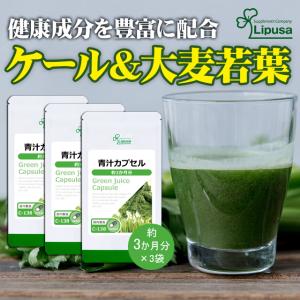グリーンリペア　無添加水溶性核酸スティック グリーンリペア 30袋 無添加水溶性核酸スティック ファイナル