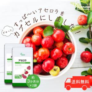 アセロラ 約3か月分×2袋 C-147-2 (90カプセル×2袋) サプリメント 健康