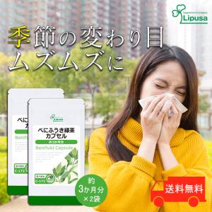 メール便なら送料無料 スーパークレソン 根々爽草（こんこん