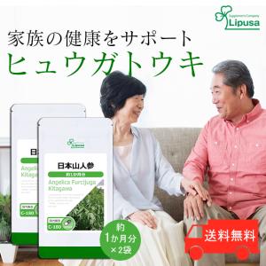 日本山人参 約1か月分×2袋 C-180-2 (90カプセル×2袋) サプリメント 健康