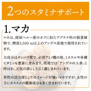 生にんにく+マカ 約3か月分×2袋 C-184...の詳細画像4