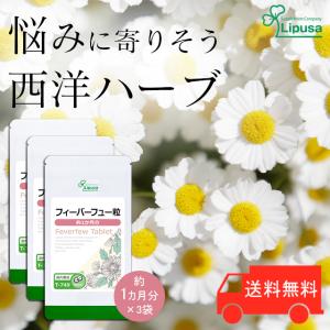 漢方生薬研究所 ズキラック 1袋90粒 ズキズキ フィーバーフュー