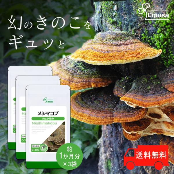 メシマコブ 約1か月分×3袋 C-303-3 (90カプセル×3袋) サプリメント 健康 サプリ