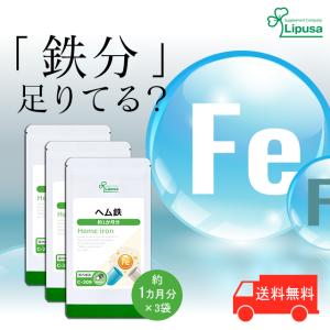 ヘム鉄 Fe 約1か月分×3袋 C-309-3 サプリメント 健康
