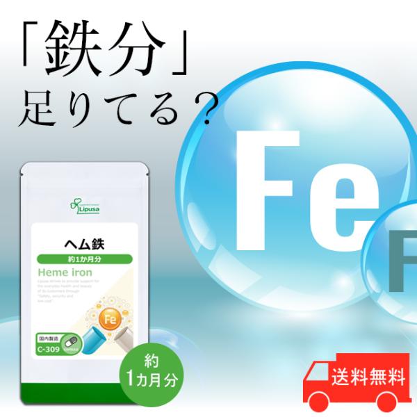 ヘム鉄 Fe 約1か月分 C-309 (30カプセル) サプリメント 健康