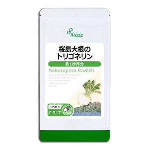ベルセレージュ ナチュラルコンクドリンク ダイエタリー エスニックタイプ　2本 ベルセレージュ ナチュラルコンク ダイエタリー エスニックタイプ 2本